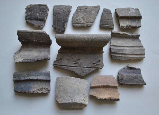 Část souboru keramiky z hradiště Tetín..JPG